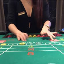 vip333